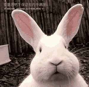 戴项链的比赛_幼儿教育资源下载_源梦营养专卖店