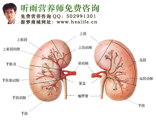 尿隐血3+,尿蛋白正常有没有事情?