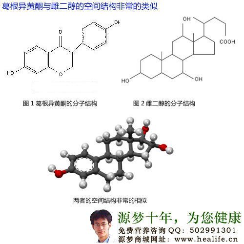 葛根异黄酮与雌二醇的空间结构非常的类似