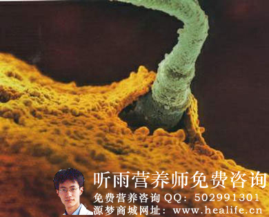 月经是怎样产生的?