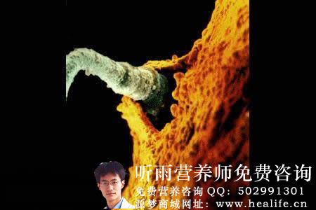 月经是怎样产生的?