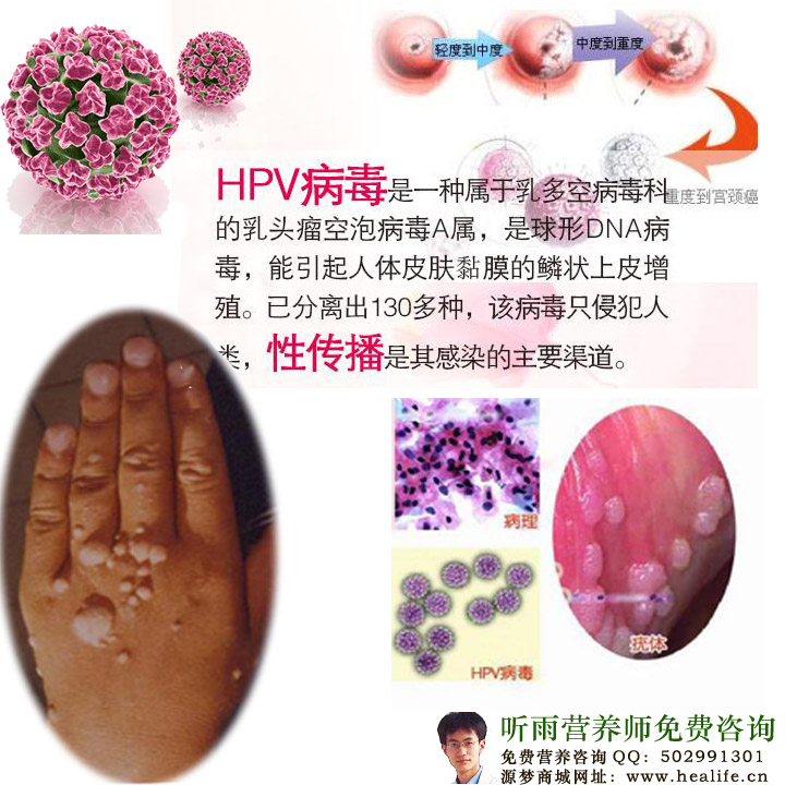 HPV病毒是什么样子