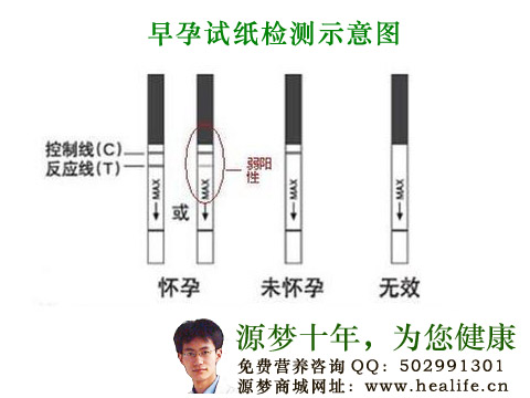 早孕试纸检测示意图