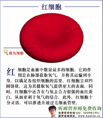 红细胞