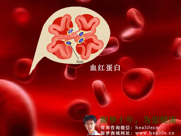 血红蛋白