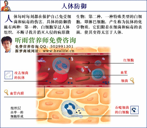 人体强大的免疫系统和防御机制