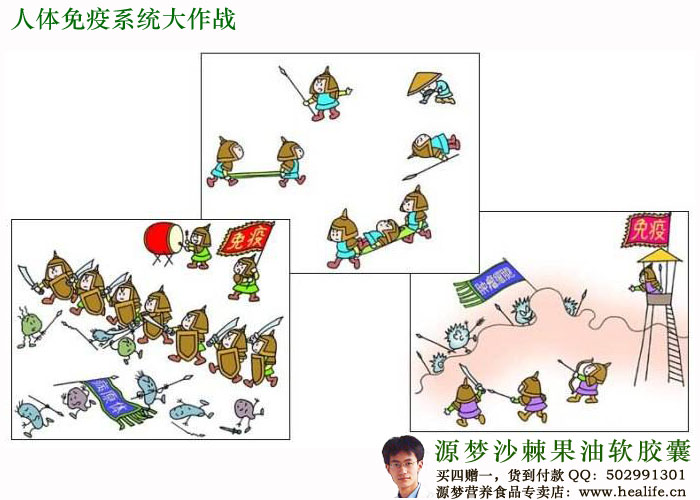 人体免疫系统大作战