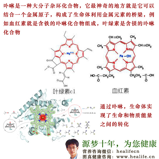 卟啉的结构