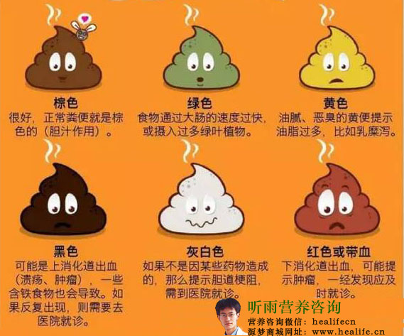 粪便外观检查