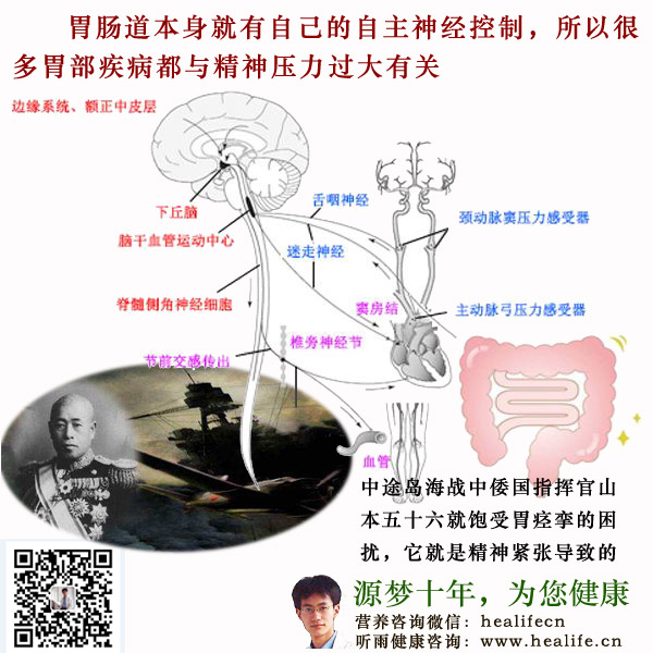 胃肠道本身就有自己的自主神经控制