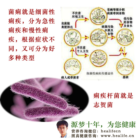 细菌性痢疾又叫做菌痢