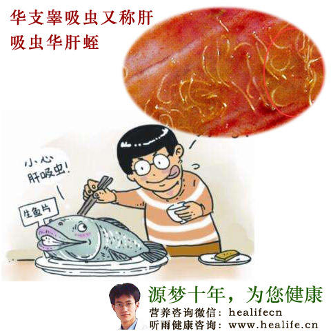 华支睾吸虫又称肝吸虫华肝蛭