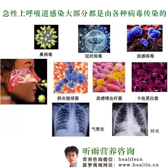 急性上呼吸道感染大部分都是由各种病毒传染的