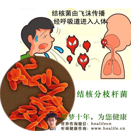 结核分枝杆菌