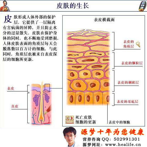 如何让皮肤更加水润光泽