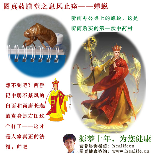 唐朝和尚的袈裟——蝉蜕