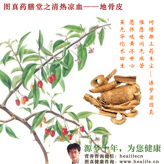 图真百草堂之地骨皮