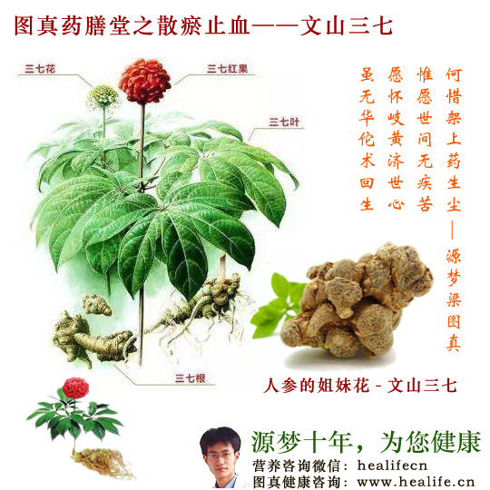 图真百草堂之文山三七