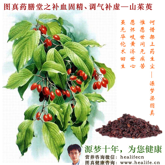 图真百草堂之山茱萸