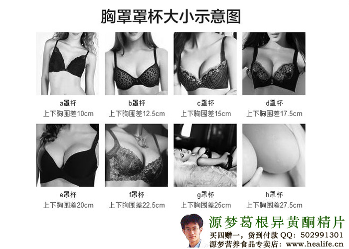 胸罩罩杯大小示意图