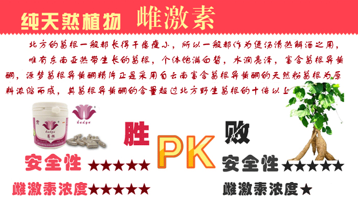 葛根的药理药效