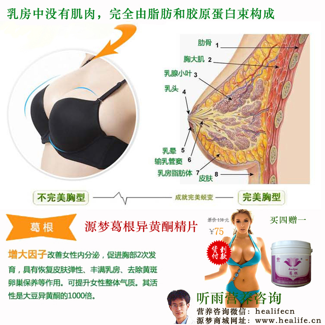 女性丰胸食疗汤—归芪鸡肉汤