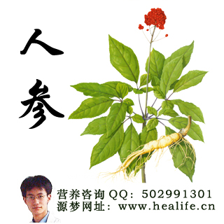 人参