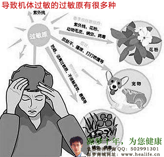 导致机体过敏的过敏原有很多种