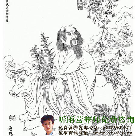 气虚血虚是什么?都有什么症状?——女性气血不足如何调理(上篇)