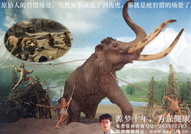 原始人的狩猎场景,当然,如果碰见了剑齿虎,那就是被狩猎的场景了