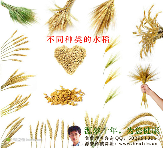 宫颈囊肿可不可以吃葛根异黄酮?