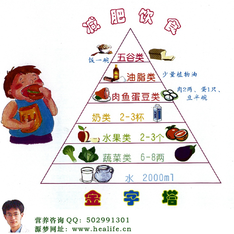 营养金字塔