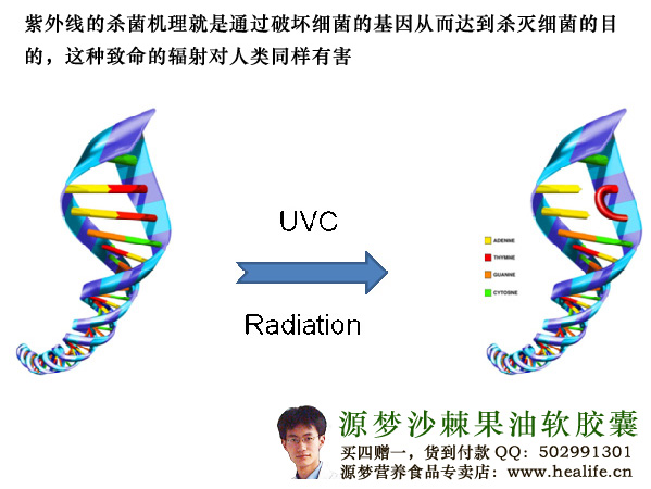 癌症是怎样产生的?