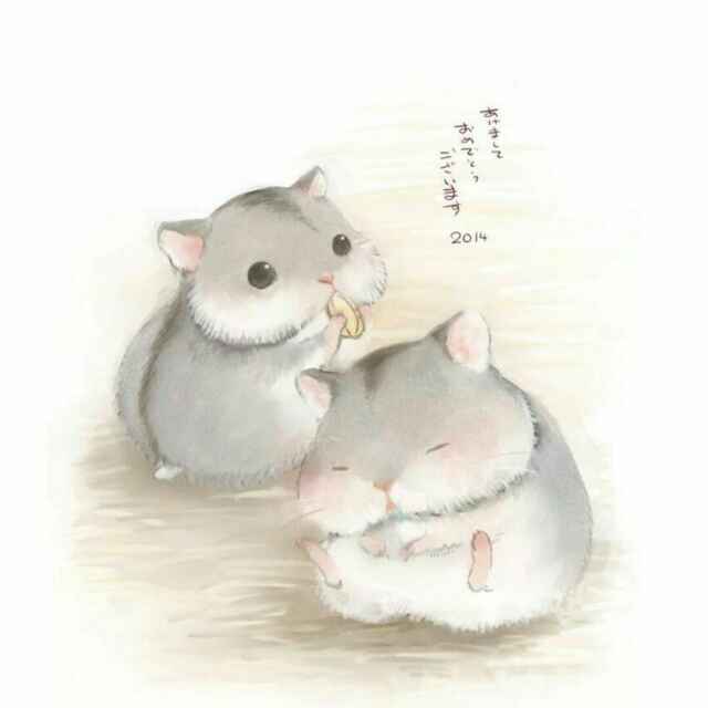 吃什么补钙效果好?