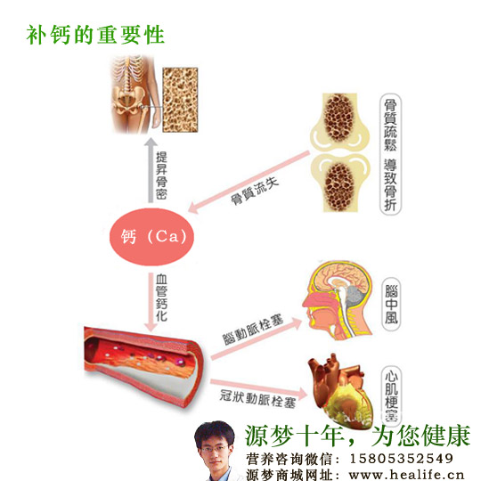 补钙的重要性