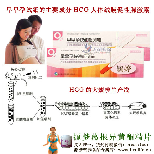 科学大多来自荒诞——早孕试纸的由来
