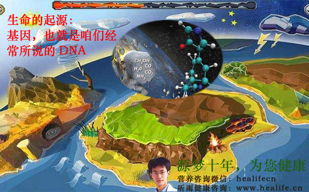 生命的起源:基因,也就是咱们经常所说的DNA