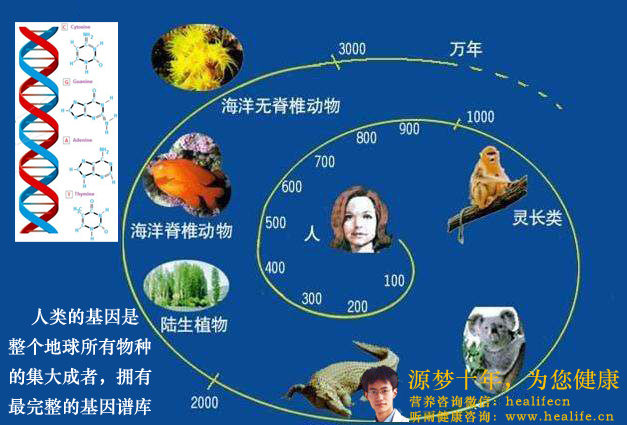 人类的基因是整个地球所有物种的集大成者