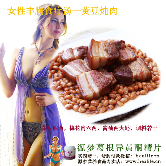 女性丰胸食疗汤—黄豆炖肉