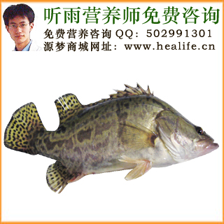鳜鱼的营养价值和鳜鱼的功效与作用