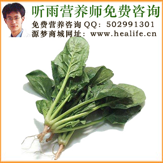 菠菜的营养价值和菠菜的功效与作用