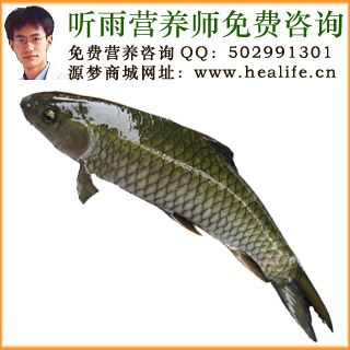 草鱼的营养价值和草鱼的功效与作用