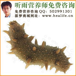 海参的营养价值和海参的功效与作用