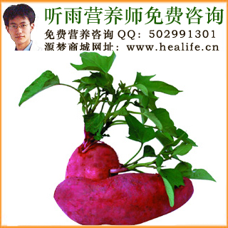 红薯的营养价值和红薯的功效与作用