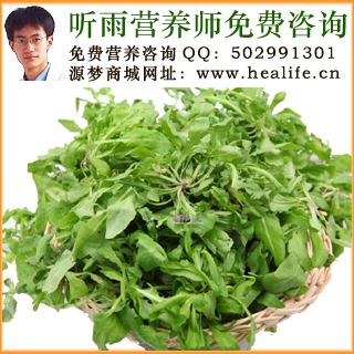 荠菜的营养价值和荠菜的功效与作用