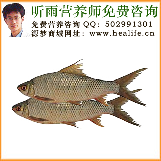 鲮鱼的营养价值和鲮鱼的功效与作用