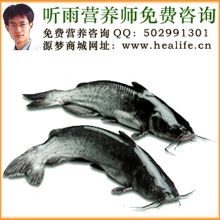 鱼类综合营养保健大全