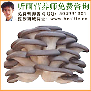 平菇的营养价值和平菇的功效与作用
