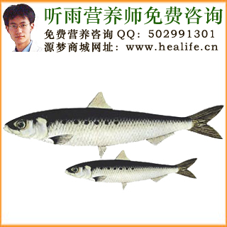 沙丁鱼的营养价值和沙丁鱼的功效与作用