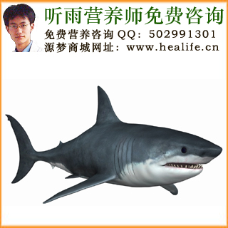 鲨鱼的营养价值和鲨鱼的功效与作用